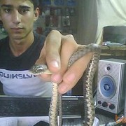  ,   Qobilbek, 33 ,   ,   , c 