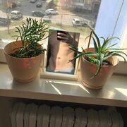 ���������� �����, ���� ������� �������, 26 ���, ������������ ��� ������, ����� � ���������