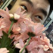 ���������� �����-���������, ���� ������� ����, 38 ���, ������������ ��� ������, ����� � ���������