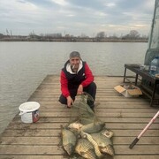  ,   , 50 ,   ,   