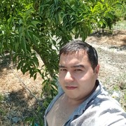 ���������� ������, ���� ������� Roma, 37 ���, ������������ ��� ������, ����� � ���������, c�������� ���������