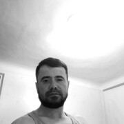  --,   , 38 ,   ,   