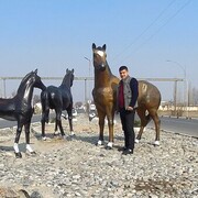 ���������� �����������, ���� ������� Mansur, 36 ���, ������������ ��� ������, ����� � ���������