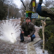  ,   , 51 ,   ,   , c 