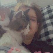 ,   , 22 ,     , 