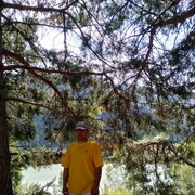 ���������� ������, ���� ������� ������, 44 ����, ������������ ��� ������, ����� � ���������, c�������� ���������