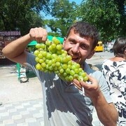  ,   Anar, 40 ,   ,   , c 
