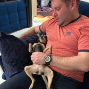 ���������� ������, ���� ������� �����, 41 ���, ������������ ��� ������, ����� � ���������