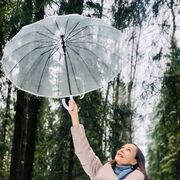 ���������� ������, ���� ������� ����, 38 ���, ������������ ��� ������, ����� � ���������, c�������� ���������