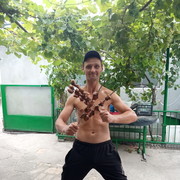  ,  , 37