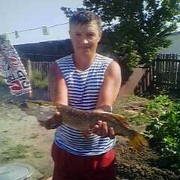 ,   , 54 ,   , 