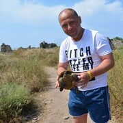 ���������� �������, ���� ������� ������, 44 ����, ������������ ��� ������, ����� � ���������, ���������