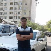 ���������� ������, ���� ������� ��������, 31 ���, ������������ ��� ������, ����� � ���������, c�������� ���������