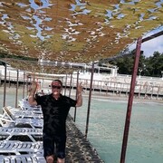 ���������� �������������, ���� ������� �����, 44 ����, ������������ ��� ������, ����� � ���������, c�������� ���������