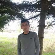 ���������� ���������, ���� ������� �����, 37 ���, ������������ ��� ������, ����� � ���������