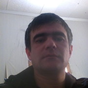 ���������� �������, ���� ������� Alim, 40 ���, ������������ ��� ������, ����� � ���������, c�������� ���������