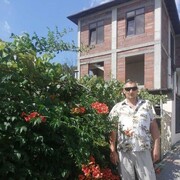  ,   , 36 ,   ,   , c , 
