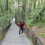  ,   , 28 ,   ,   