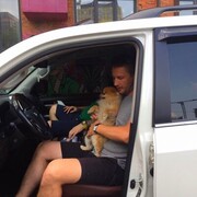 ���������� ������, ���� ������� ����, 38 ���, ������������ ��� ������, ����� � ���������