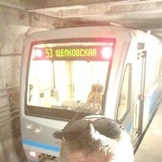 ���������� ������, ���� ������� �������, 44 ����, ������������ ��� ������, ����� � ���������