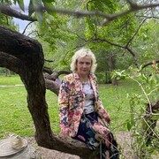  ,   , 58 ,   c 