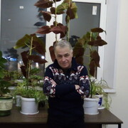 ���������� ���������������, ���� ������� �����, 57 ���, ������������ ��� ����� � ���������, c�������� ���������, ���������