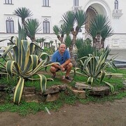 ���������� ������, ���� ������� ��������, 52 ����, ������������ ��� ����� � ���������, c�������� ���������, ���������