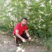  ,   , 34 ,   ,   