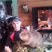 ���������� ��������, ���� ������� Vova, 38 ���, ������������ ��� ������, ����� � ���������, c�������� ���������, ���������