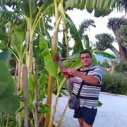  ,  , 52