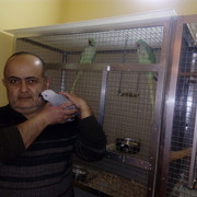  ,   Armen 68, 57 ,   