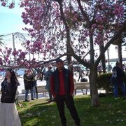 ���������� �������, ���� ������� ������, 39 ���, ������������ ��� ������, ����� � ���������