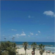  ,   Bekzod, 44 ,   