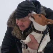 ���������� ������, ���� ������� ��������, 43 ����, ������������ ��� ������, ����� � ���������