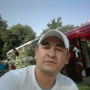  ,   , 43 ,   