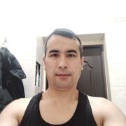 ���������� �����-���������, ���� ������� Sardor, 38 ���, ������������ ��� ����� � ���������