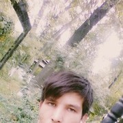  ,   Elmurod, 33 ,     , c 