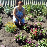 ���������� �������, ���� ������� ����, 62 ����, ������������ ��� ������