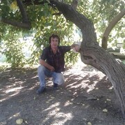   ,   , 49 ,  