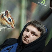 ���������� ������, ���� ������� �������, 38 ���, ������������ ��� ����� � ���������, c�������� ���������