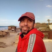  Ashqelon,   , 49 ,     , c 