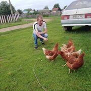  ,   , 38 ,   ,   