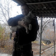 ���������� ����-��������, ������� �������, 47