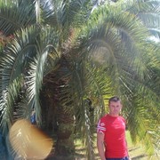  ,   , 43 ,     , c 