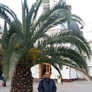 ���������� ������, ���� ������� GEGAM, 42 ����, ������������ ��� ������, ����� � ���������, c�������� ���������