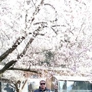 ���������� ����, ���� ������� ������, 43 ����, ������������ ��� ������, ����� � ���������, c�������� ���������