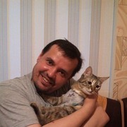  ,   , 55 ,   
