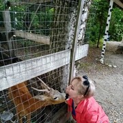 ���������� ���������, ���� ������� �������, 52 ����, ������������ ��� c�������� ���������