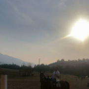  Bansko,   , 42 ,   ,   , c 