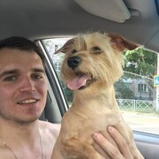 ���������� ������, ���� ������� ������, 33 ����, ������������ ��� ������, ����� � ���������, c�������� ���������